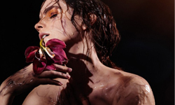 不穿衣服最環保？艾瑪華森為環保裸身展現自然美 艾瑪華森、女星、Emma Waston、Natural Beauty、