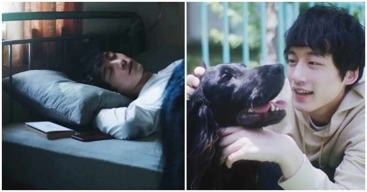 看了好想躺在他旁邊！坂口健太郎無害睡顏大公開♡ 坂口健太郎、廣告、日本、鹽系男神、睡顏、大公開