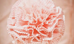 孝子孝女別錯過！母親節好貼心禮物指南 母親節、母親節禮物、媽媽、孝順、Mother's Day