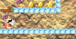 貓咪這麼懶只好讓他用滾的了 Lazy Crazy Cat       Lazy Crazy Cat、貓咪