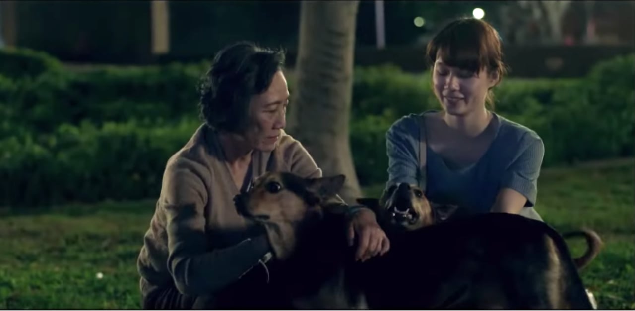 謝謝你，我的老師、我的家人 台灣廣告、保險、受益人、家人、老師、感人、感動