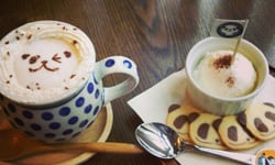 沒有灰色地帶  歡迎光臨黑白萌胖「熊貓咖啡店」 熊貓、可愛、萌、咖啡店、ぱんだ珈琲店