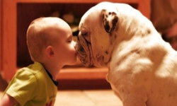 天生一對可愛加倍 寶寶動物親密互動 寶寶、動物、萌、可愛、