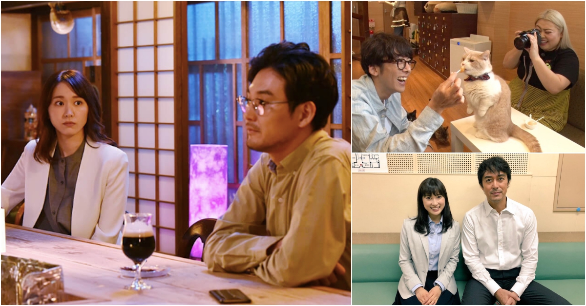 2018秋季日劇10部推薦！中學聖日記、無法成為野獸的我們必追 2018、秋季日劇、情報、無照律師、我們的奇蹟