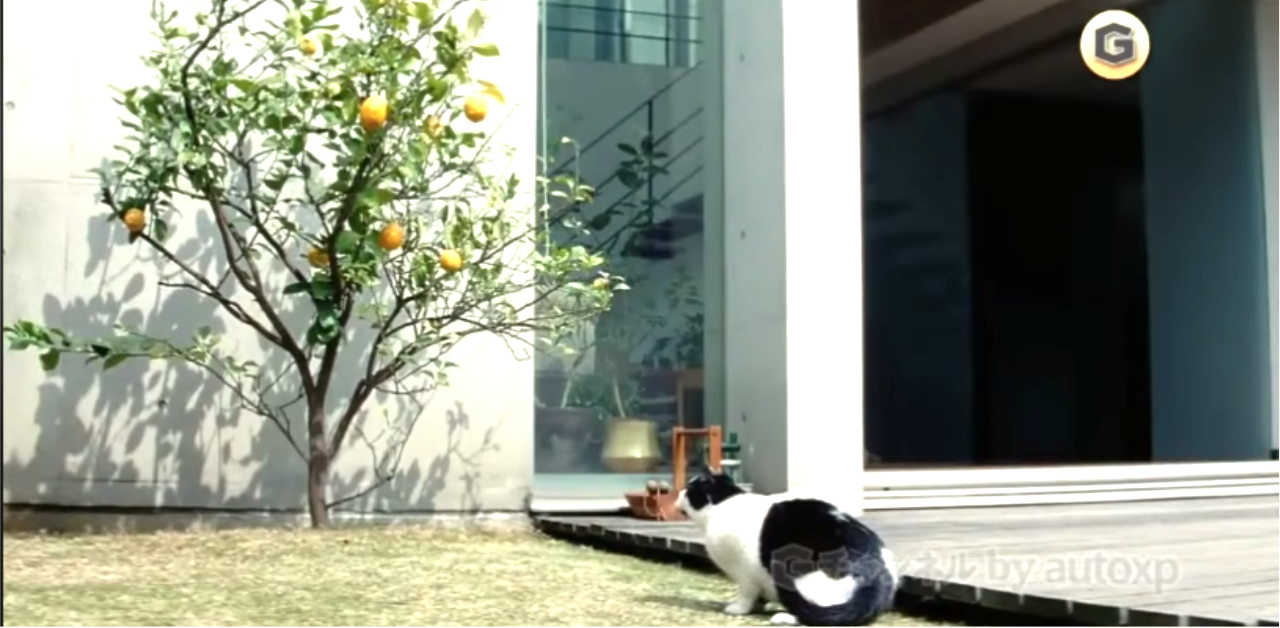 只有我看得見的奶奶  日本廣告、房地產廣告、搬家、新家、家人、家