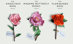 停留在最美的一刻  永不凋謝的紙花朵Frances & Francis 藝術、紙雕、Frances & Francis、Helen Frances、花