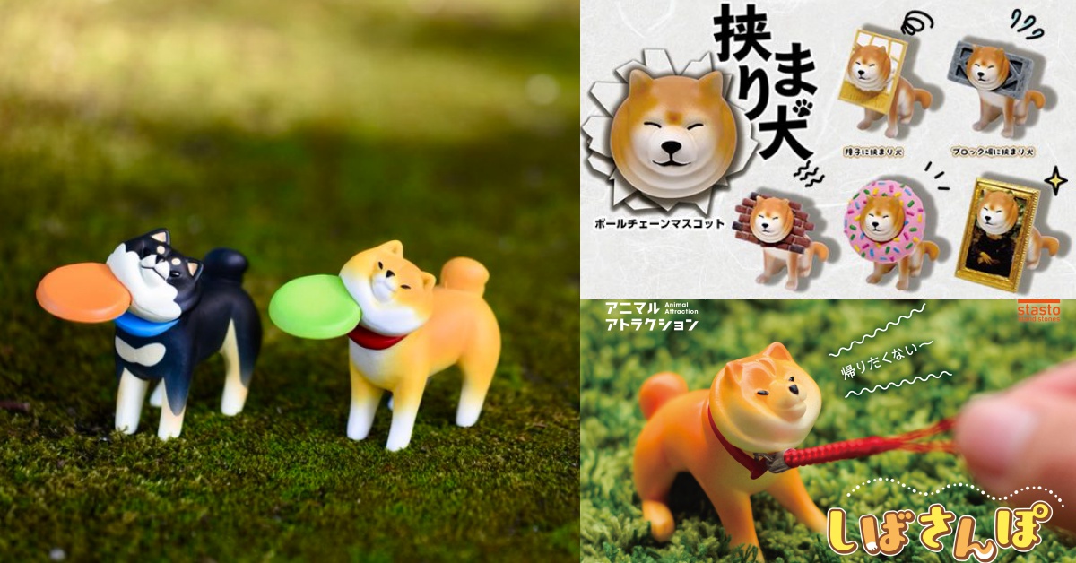 頭卡在牆上、用嘴邊肉接飛盤…柴柴的爆笑狀況劇扭蛋特輯 柴犬、扭蛋、卡住、柴柴、可愛、療癒