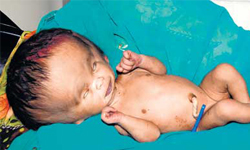 異種誕生？！外星人寶寶的虛構與現實 外星人、寶寶、嬰兒、虛構、現實