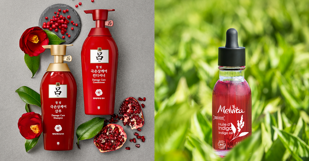 染髮後很快就褪色？快試試這幾款「護色髮品」，修護受損髮絲還能呵護頭皮 頭皮保養、換季頭皮、換季掉髮、染髮、護色