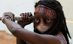 太過分卻令人忍俊不禁！《陰屍路》噴笑惡搞圖集 陰屍路、流淚、掀桌、噴笑、幽默、搞笑、惡搞、改圖、哭笑不得、影集、美劇、美國、活屍、KUSO