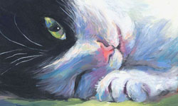 冷眼回眸也可以百媚生！優雅貓咪油畫    Svetlana Novikova、貓咪、插畫