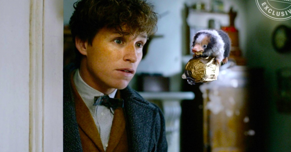 快來上紐特的奇獸飼育學！《怪獸與葛林戴華德的罪行》中融化你心的9種奇獸    怪獸與葛林戴華德的罪行、怪獸與牠們的產地、怪獸與牠們的產地2、奇獸、紐特、奇獸飼育學、玻璃獸、寶寶、騶吾、吸血怪、黑貓魔、木精、皮奇、報喪鴉