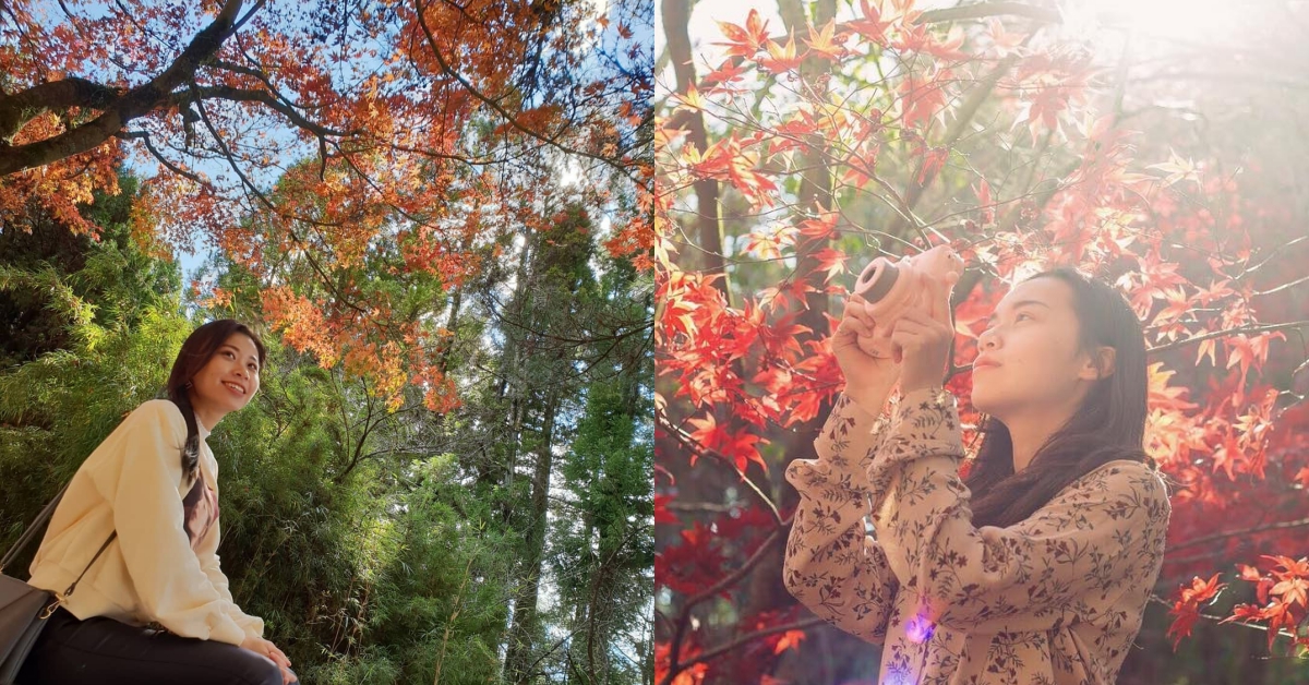 全台最美「楓景」就在這！賞楓、採蘋果把握週末一次GET ♡ 秋天、楓葉、賞楓、採蘋果、福壽山農場、蜜蘋果