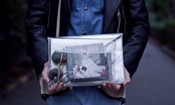 透視妳的包包  透明感包款特輯 時尚、單品、透明、品牌、果凍