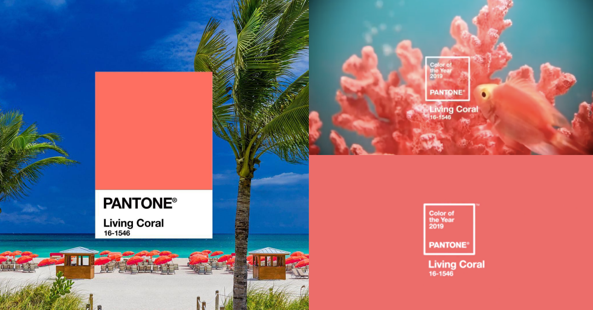  2019 PANTONE代表色出爐！溫柔又強烈的活珊瑚橘Living Coral 16-1546 PANTONE、PANTONE 2019、活珊瑚橘、活珊瑚橙、Living Coral、16-1546