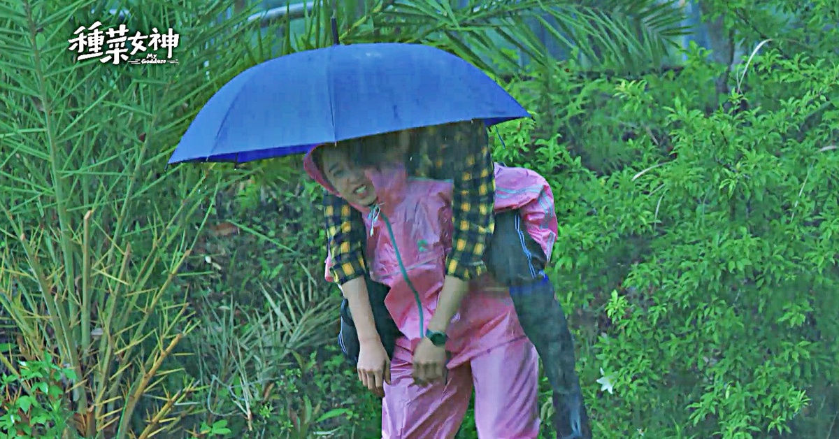 《種菜女神》演員粉絲見面會！陳庭妮劇中輕鬆駕馭粉紅蝌蚪裝 大力女背68公斤劉以豪 陳庭妮、劉以豪、種菜女神、愛奇藝台灣站