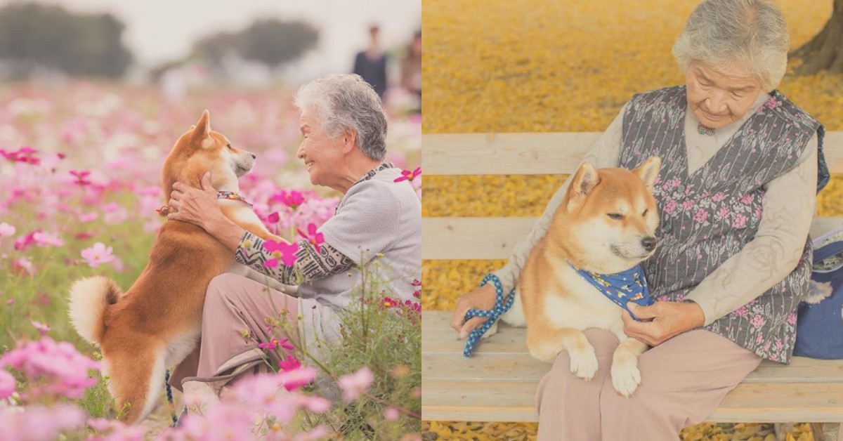 「孫子視角照」背後故事有洋蔥！日攝影師為祖母與柴柴拍攝一系列暖心照♡ Yasuto、攝影、葛藤、柴犬、祖母