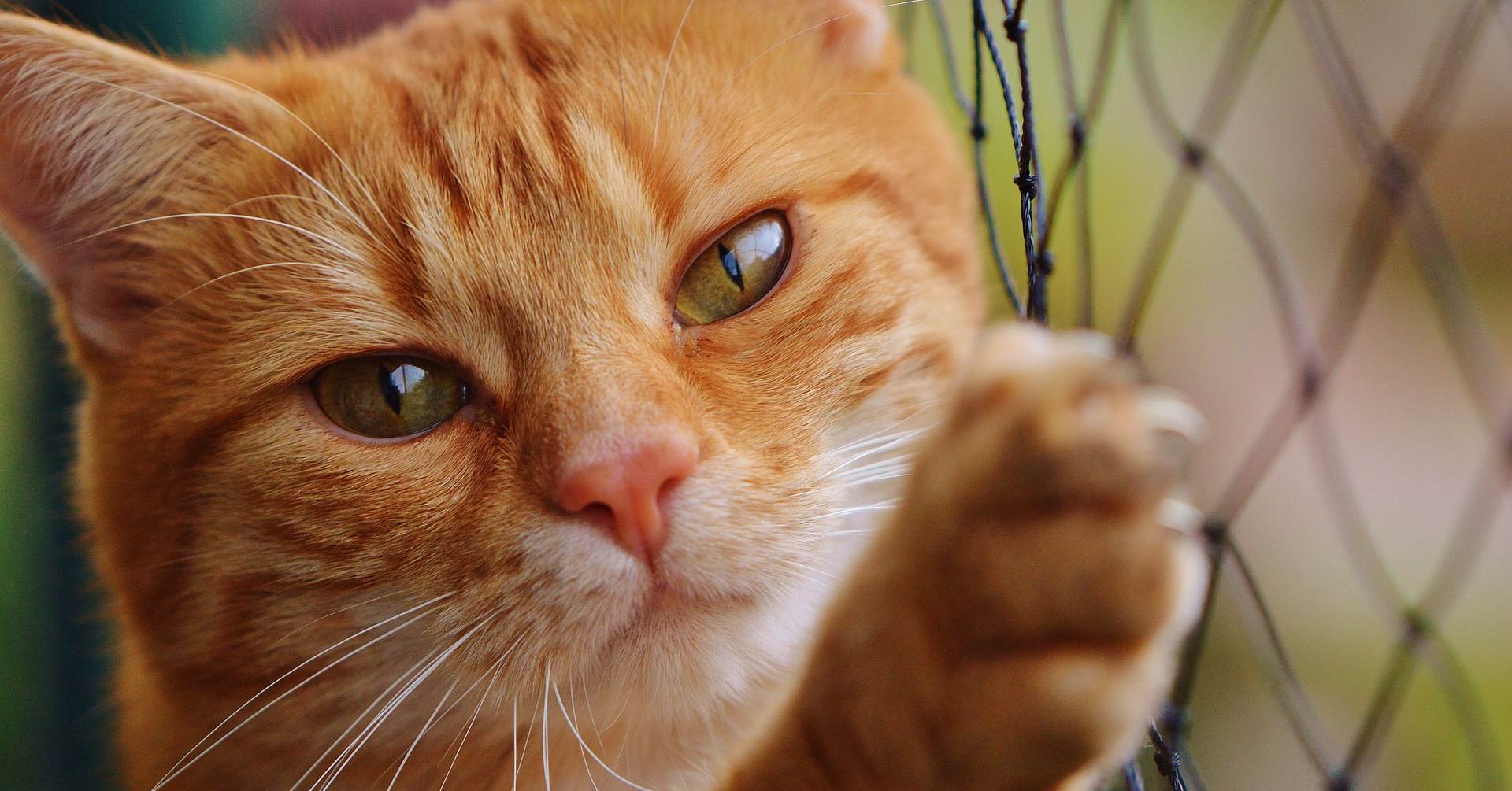 頭痛怎麼辦？原因有哪些？何時必須就醫？醫師圖文完整解說！ 頭痛、頭痛併發症、頭痛舒緩