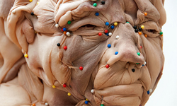 瘋狂由外而內入侵 Rosa Verloop臃腫肉塊人形 Rosa Verloop、筋肉、暴露、詭異、恐怖