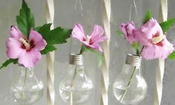 靈光乍現的巧思 燈泡唯美大變身 好點子、什麼玩意兒、燈泡、變身、裝飾