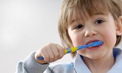 吃少一點就會瘦？專家告訴你瘦不了真相！    減肥、瘦身、真相、專家