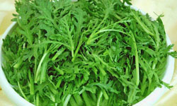 春天就吃它們來養生吧！春季養生食材 保養、保健、養生、新知、食材、春天、散步、山藥、免疫、燕麥、纖維、薏仁、蓮藕、山茼蒿、菠菜