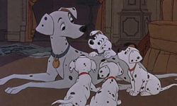 母親像月亮一樣  迪士尼動物媽媽的母愛光輝    迪士尼、動物、媽媽、母愛、母親節