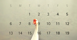 04/24 免費與特價App特輯    限時免費、iPhone