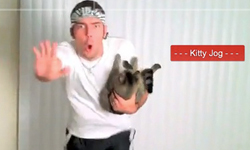 瘦不了？快跟著貓咪教練一起做運動吧！ 貓咪、影片、運動、瘦身