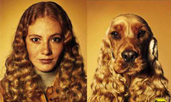 什麼樣的人就養怎樣的寵物？狗狗與主人超神似特輯 寵物趣聞、狗狗、萌、相似、神似、寵物、動物、攝影、廣告、Crufts