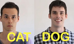 當貓狗變成人類！貓朋友 vs. 狗朋友的待客之道 影片、貓、狗、Fatawesomen、Cat-Friend vs. Dog-Friend