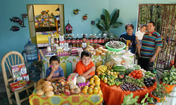 飢餓星球：世界各地家庭一星期吃多少食物？ 攝影、Peter Menzel、Faith D'Aluision、Hungry Planet: What the World Eats in a Week、食物