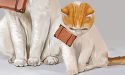 小貓咪不想上學？動物的心聲插畫       插畫、動物、蓋括