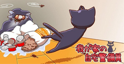 你不在家時貓咪都在做甚麼？你的貓咪衛兵來囉！    我が家の自宅警備員、貓咪