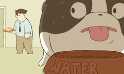 主人，換我照顧你！狗狗變廚師上演愛的蛋捲魂 動畫、感人、溫馨、寵物、蛋捲、Madeline Sharafian