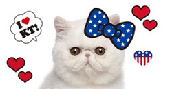 粉紅閃光又來伺候少女們了！WhatIfCamera粉嫩登場    WhatIfCamera、三麗鷗