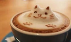 超萌圖案跑出杯子！3D咖啡拉花藝術 咖啡、拉花、藝術、3d、圖案