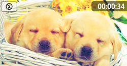 05/08 免費與特價App特輯    限時免費、iPhone