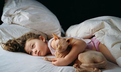 不可怕，牠是我兄弟！與野生動物相親相愛的女孩    Robin Schwartz、野生動物、攝影