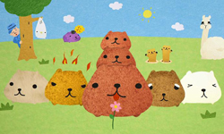 不是貓咪也不是老鼠  超萌水豚君駕到！    水豚君、萌、カピバラさん