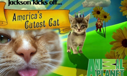 6月1日 今天電視看甚麼？ 電視、節目表、電視節目表、電影、HBO