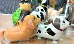 媽媽不給我養寵物沒關係！寵物氣球滿足你的保護欲    寵物趣聞、寵物、氣球、萌