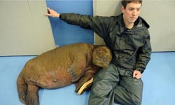 就是要相親相愛！與動物的歡樂合影    動物、溫馨