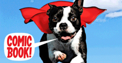 05/22 免費與特價App特輯          限時免費、iPhone