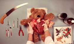 醫生遊戲寫實版！解剖泰迪熊、翻攪愛與夢想的內臟 內在、解剖、詭異、亂七八糟、恐怖
