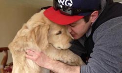 這次換主人導盲！盲眼黃金獵犬的幸福生活 黃金獵犬、Ray Charles、blind