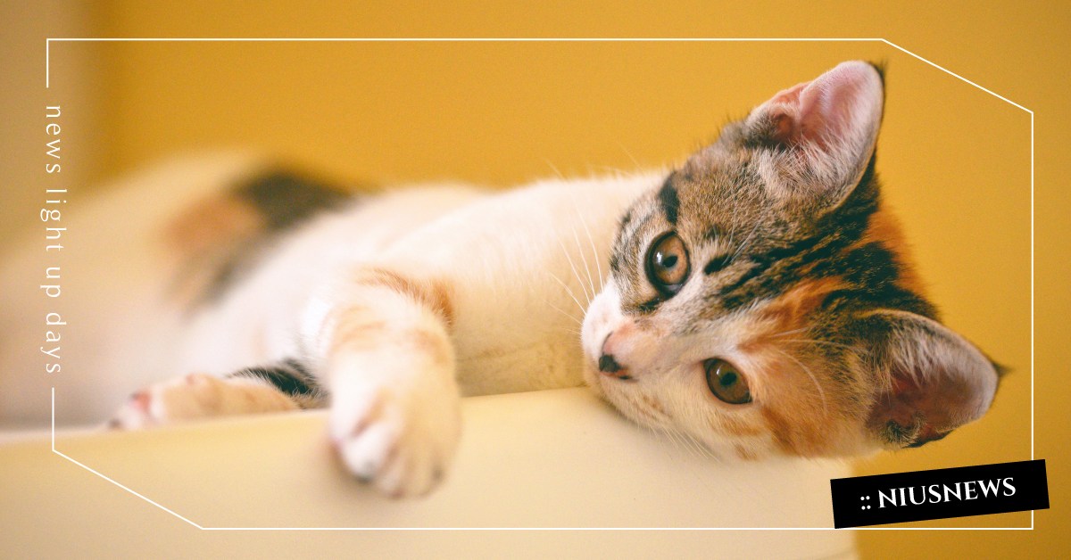 沒必要體諒所有人，反正有些人也不會體諒你 人際關係、善良、心理、職場、好人、妥協、讀讀書