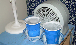 誰說天熱一定要吹冷氣？夏季節能涼爽小秘招 夏天、夏季、節能、環保、減碳