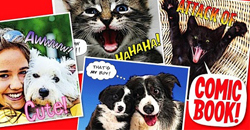 日常生活太無趣？漫畫風照片App讓你超有戲       漫畫、照片