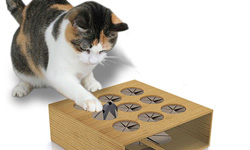 諒你插翅也難飛？貓咪打地鼠的兩種玩法！    貓咪、打地鼠、萌、遊戲、玩具